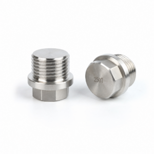 2507 Duplex Stainless Steel Hex Head Plug